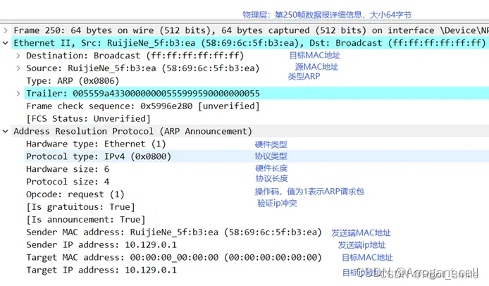 arp 协议的解析1
