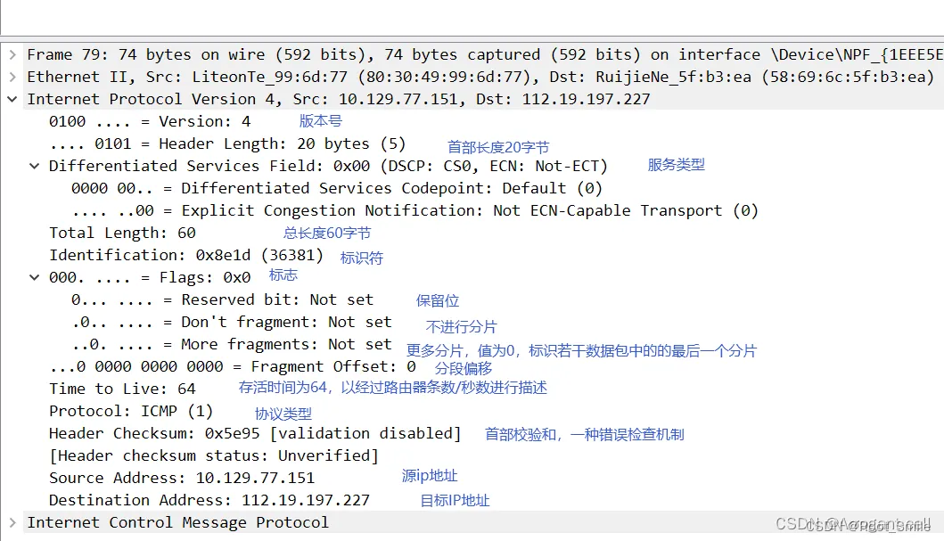 ip 协议抓包分析