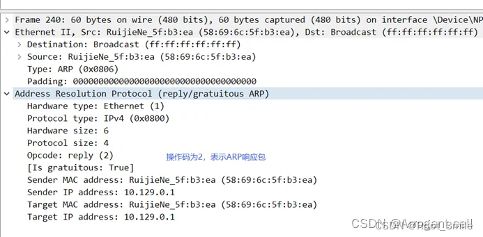 arp 协议的解析2